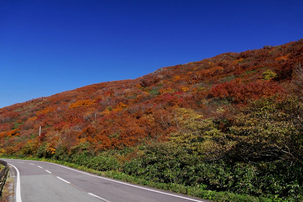 鳥海山の画像